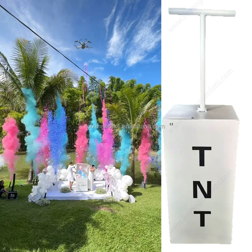 Electric Gender Reveal Smoke B – Confetti Cannon Tube Bewertung und Preis