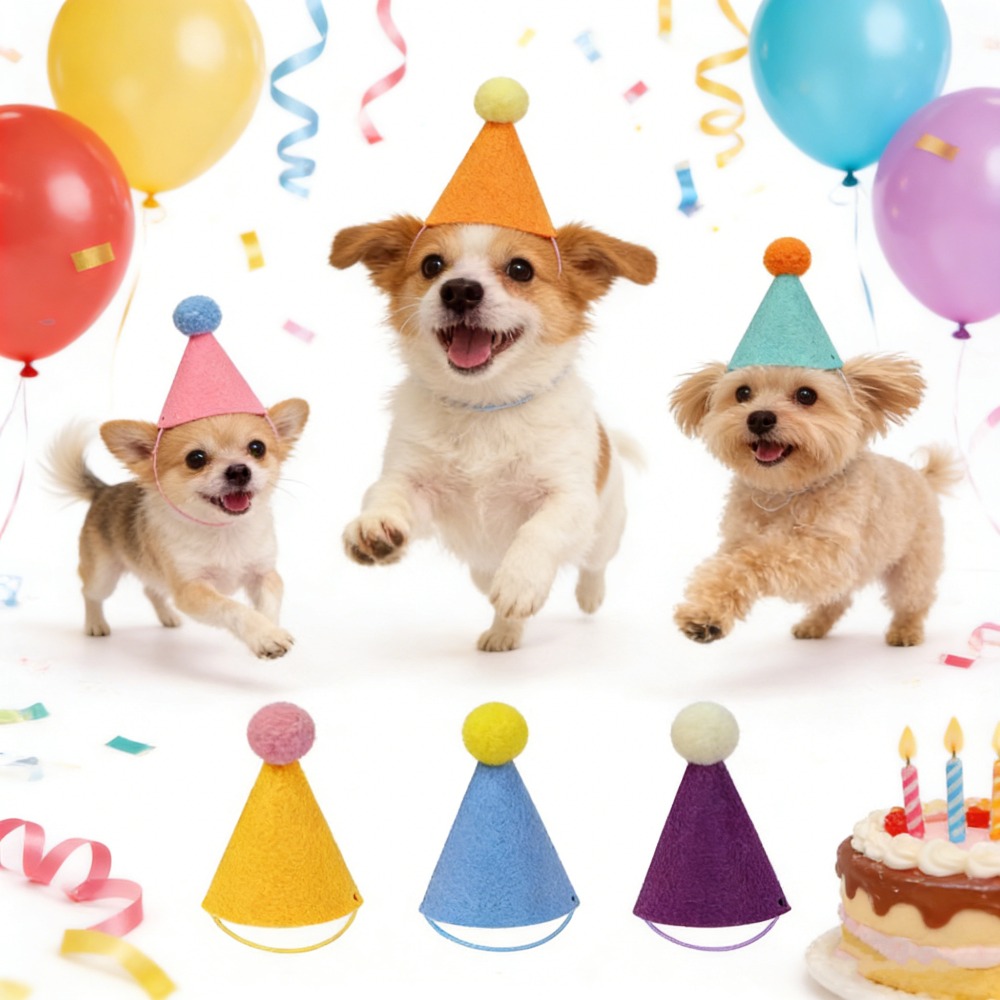 3/6pcs Pet Party Hat Colorful  – Party Hat Cone Bewertung und Preis