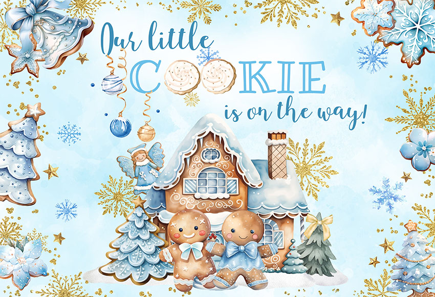 Christmas Gingerbread Baby Sho – Dessert Table Backdrop Bewertung und Preis